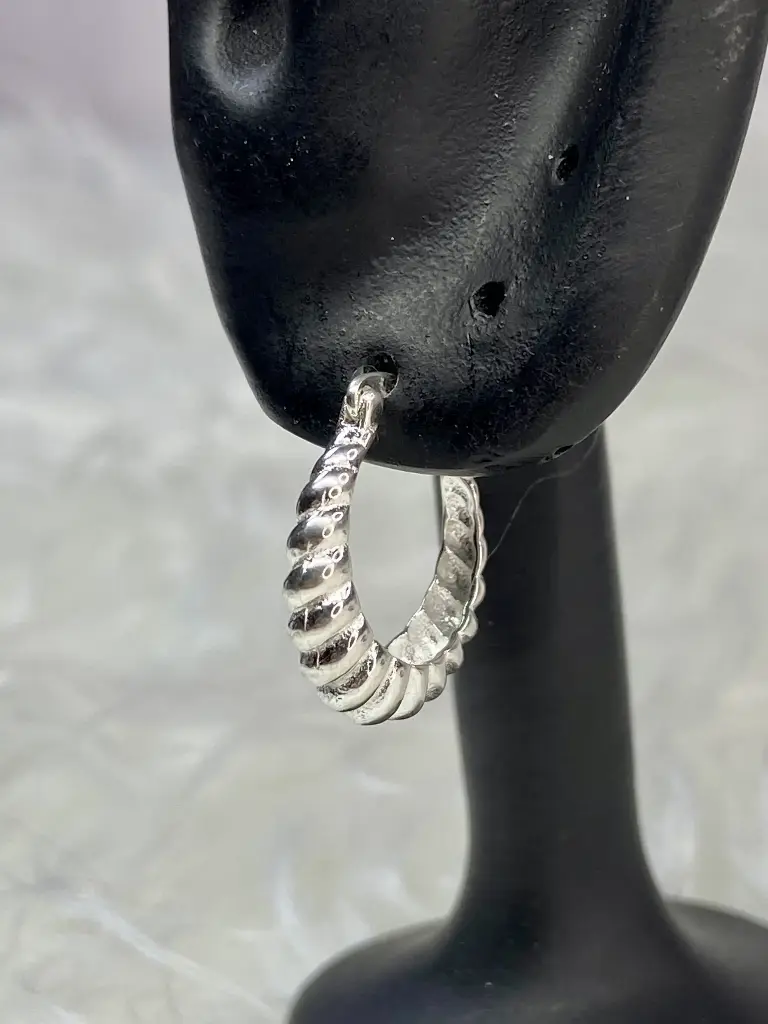 Luxury Earrings