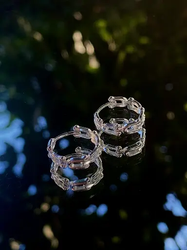 Linkara Clip Earrings