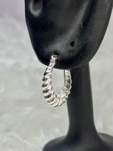 Luxury Earrings
